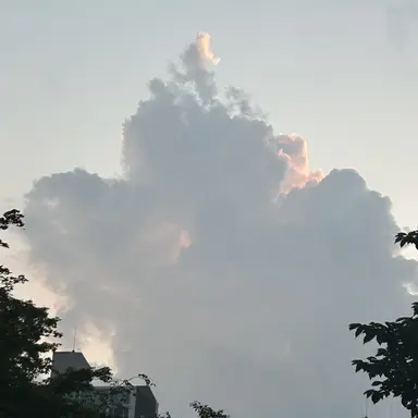 Profile image of 공룡
