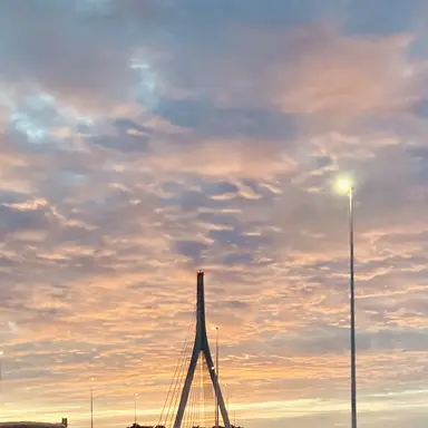 Profile image of アルミン