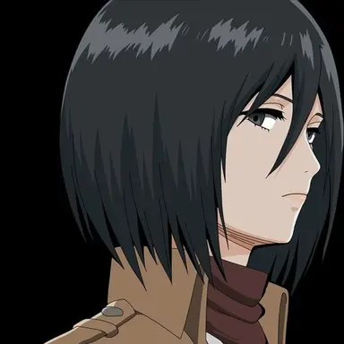 Profile image of ミカサ