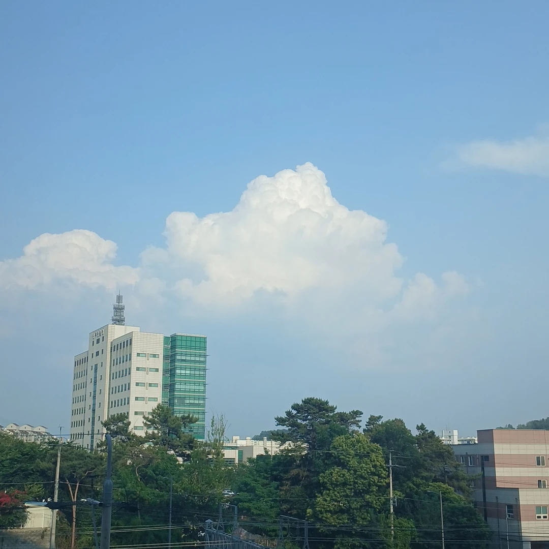 크래비티 단체
