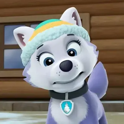 SlimyDeli4472의 Everest