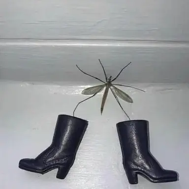 Profile image of 선우정