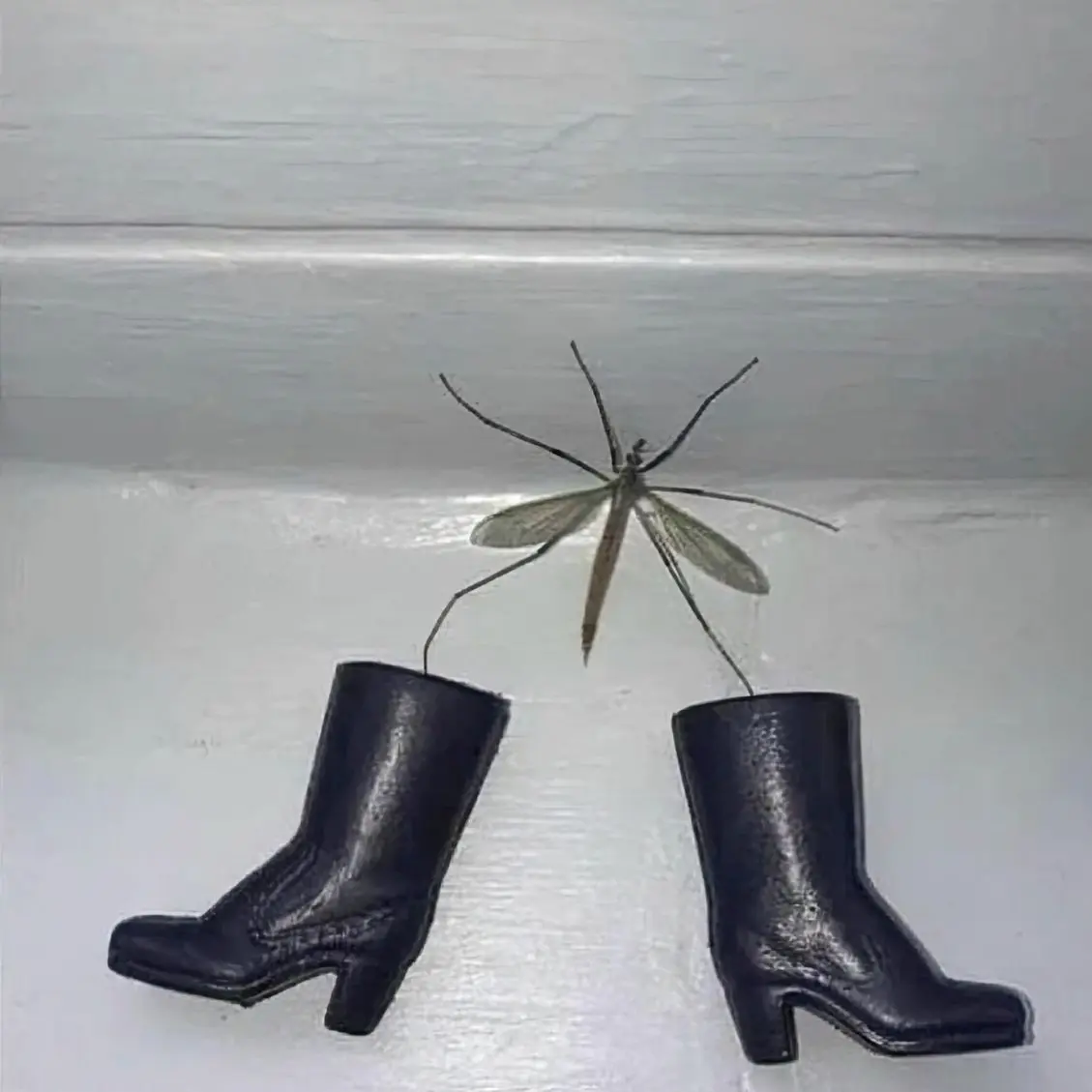 m1dsummer의 선우정