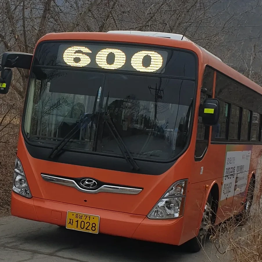 600번버스