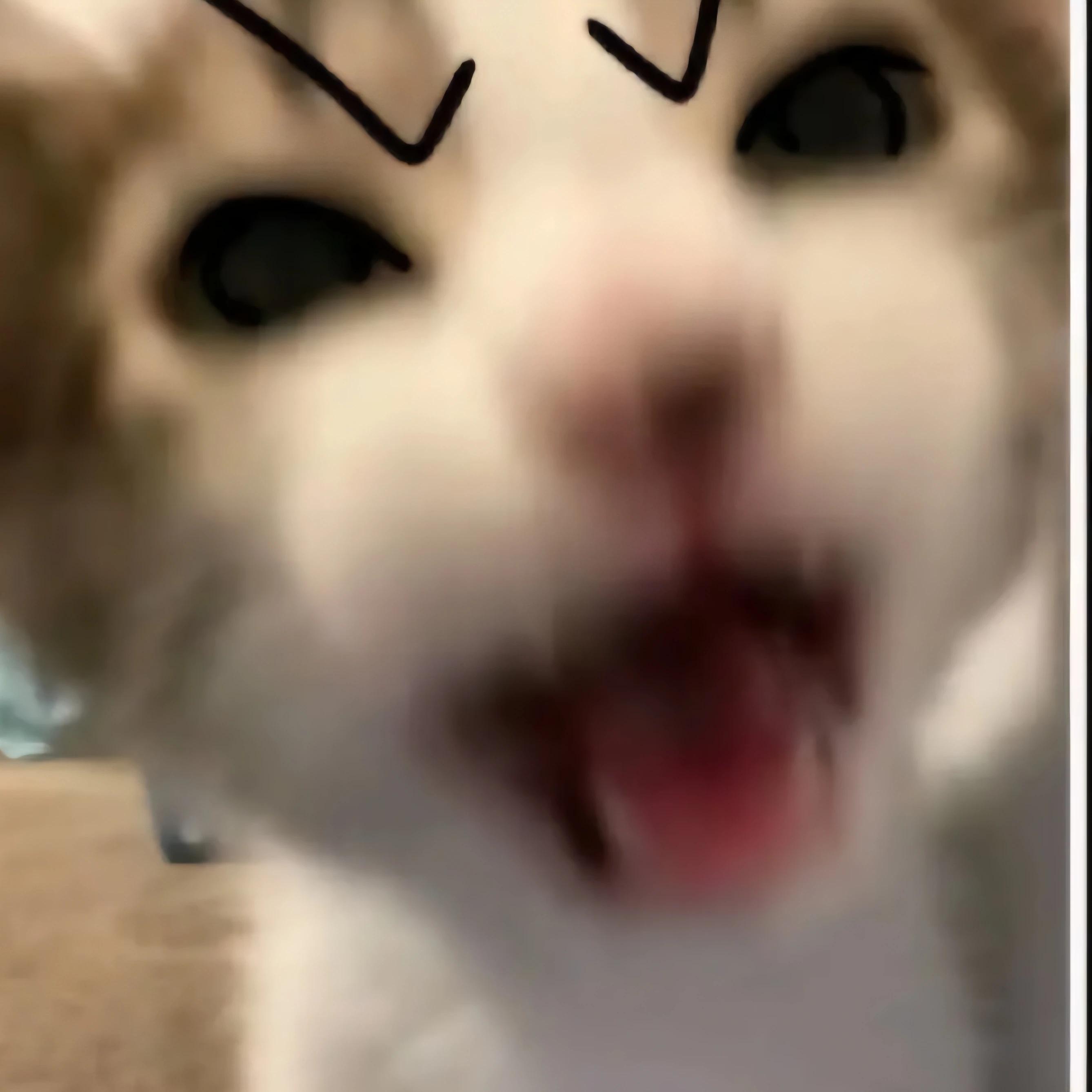 리바이