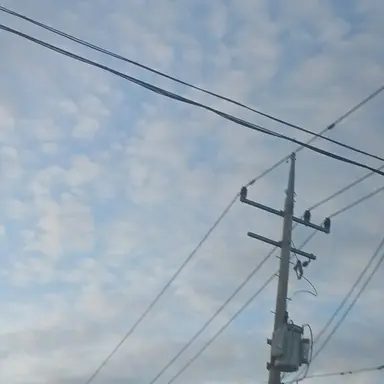 Profile image of 미스틱플라워쿠키