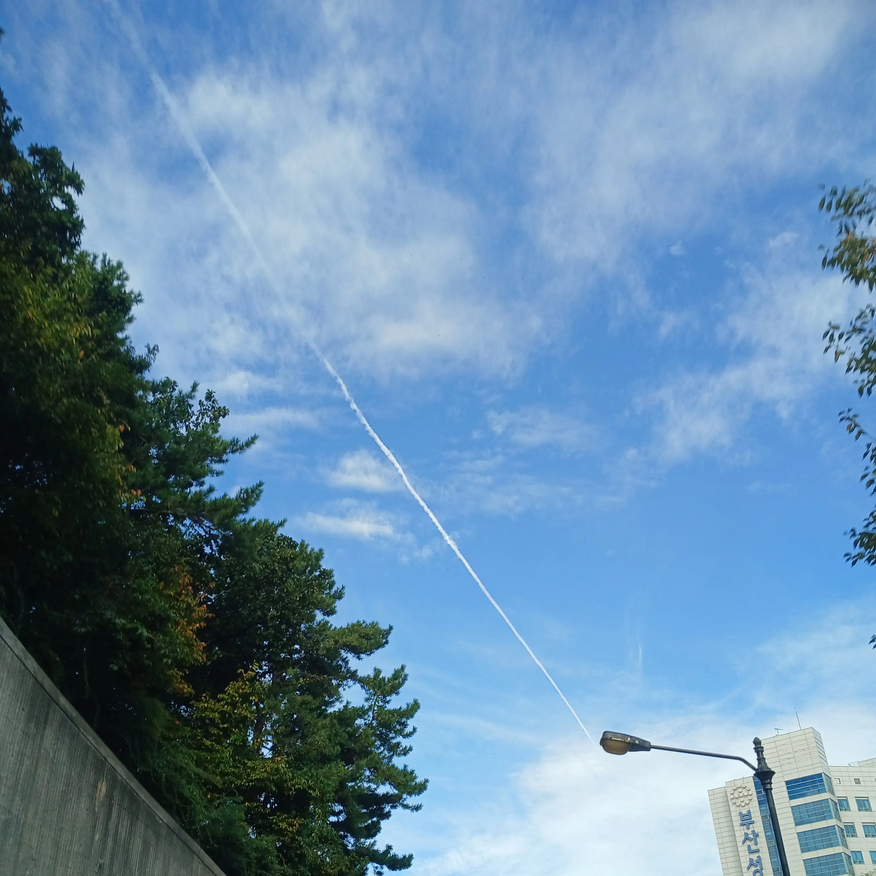 BareFeast1331의 아이돌 오디션 보기