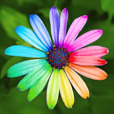Profile image of Mx.Rainbowflower