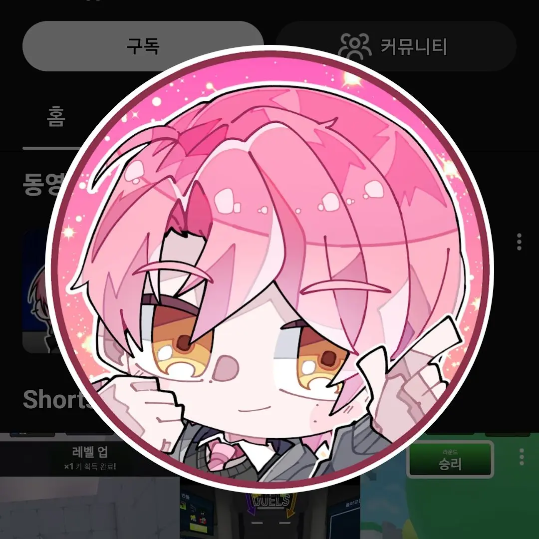 SalmonPuli2087의 팀비정상