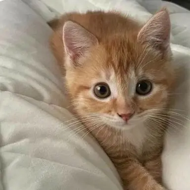 Profile image of 이동혁