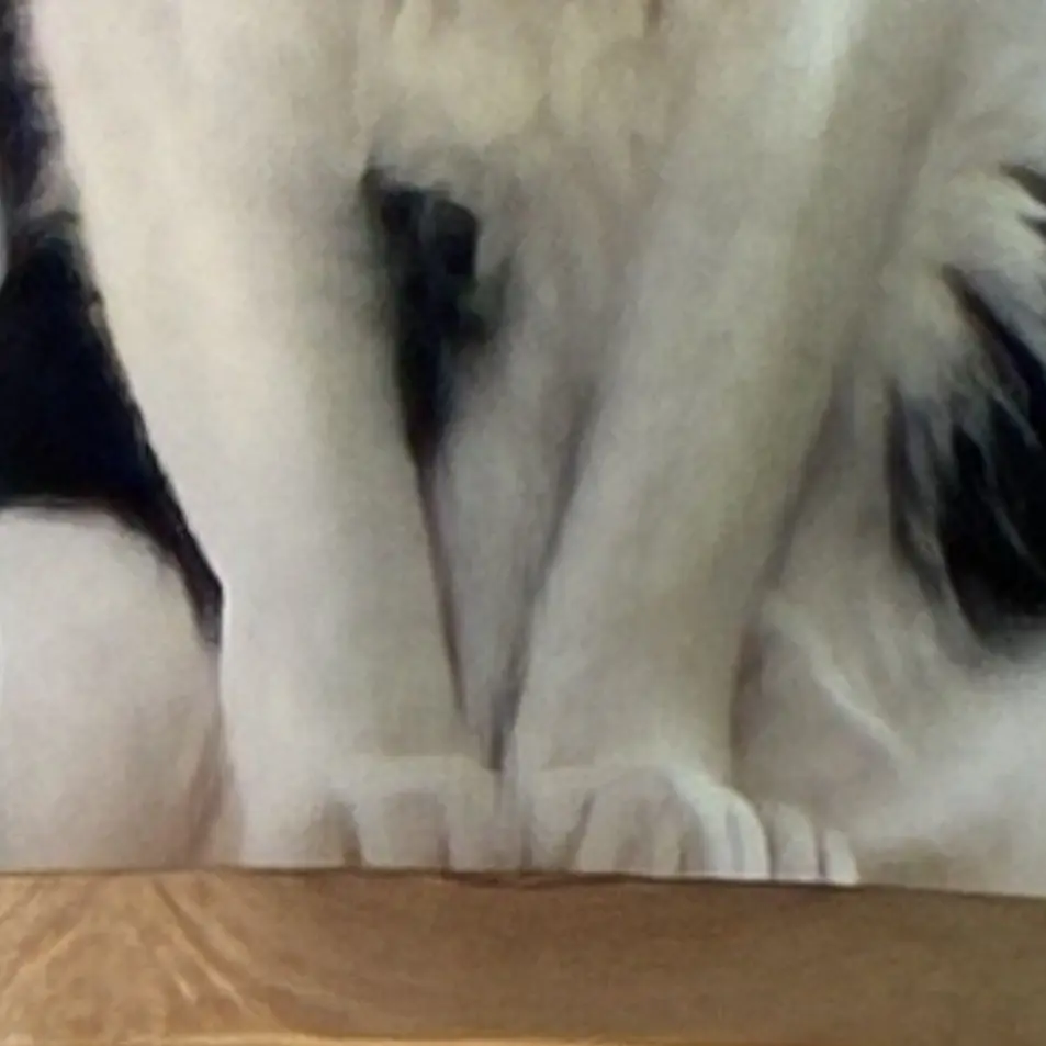 RainyOptic7150의 おくすりのめたね