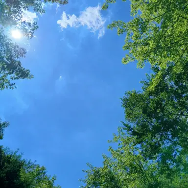 Profile image of 마피오소