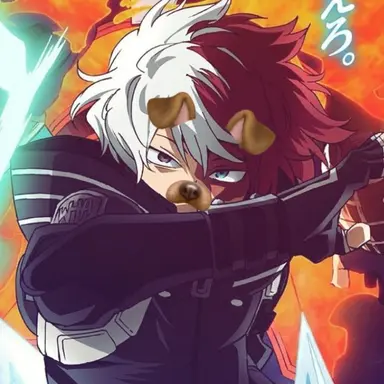 Profile image of Todoroki