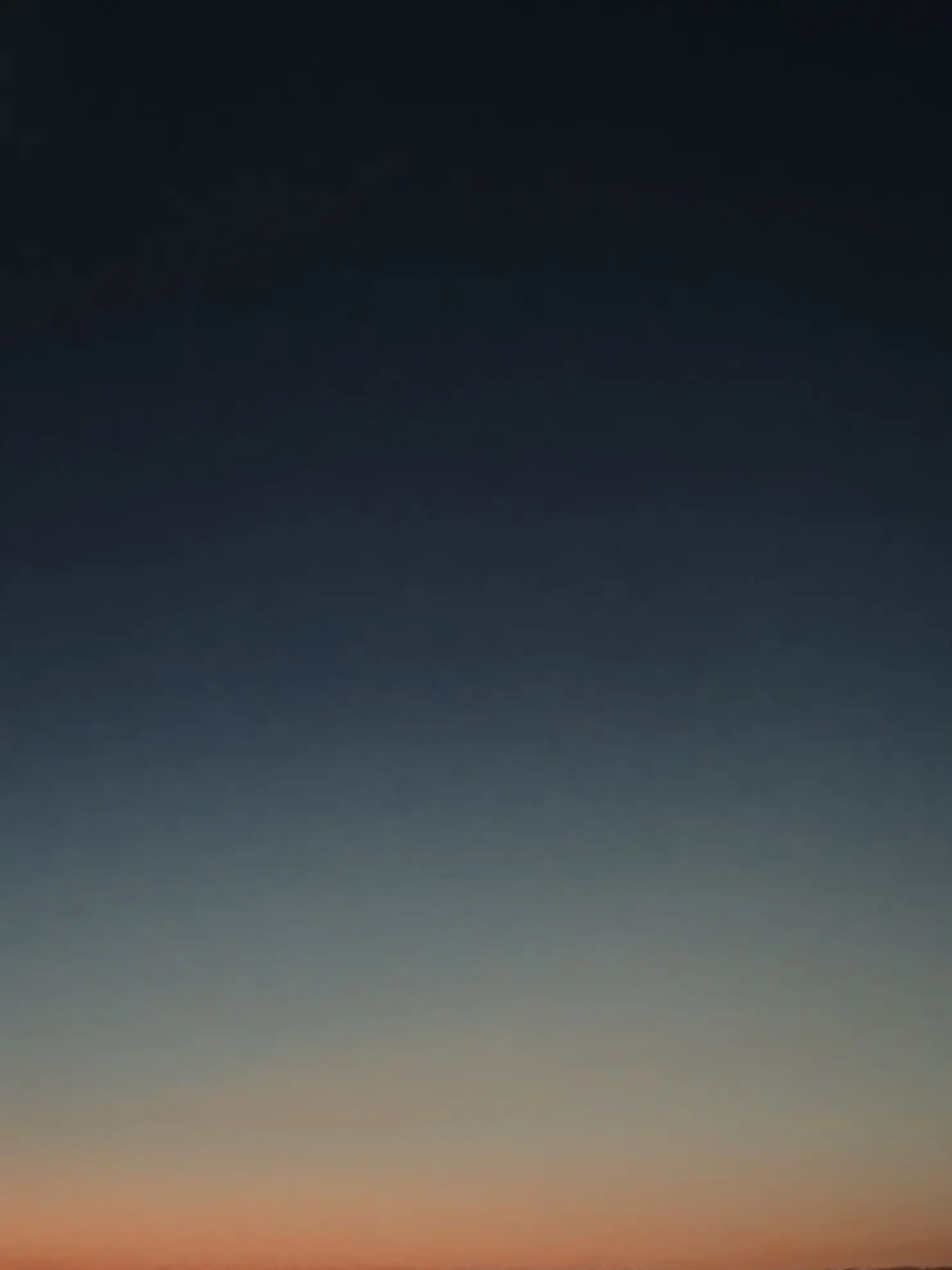 VictimFrog.com의 ファンキーナイト