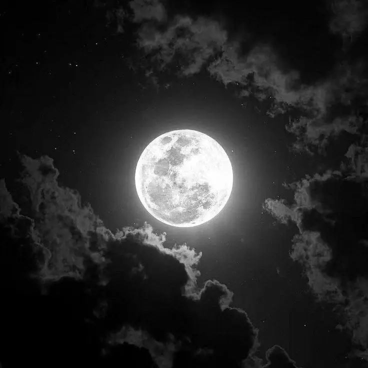 ChillyFlour5008의 Moon