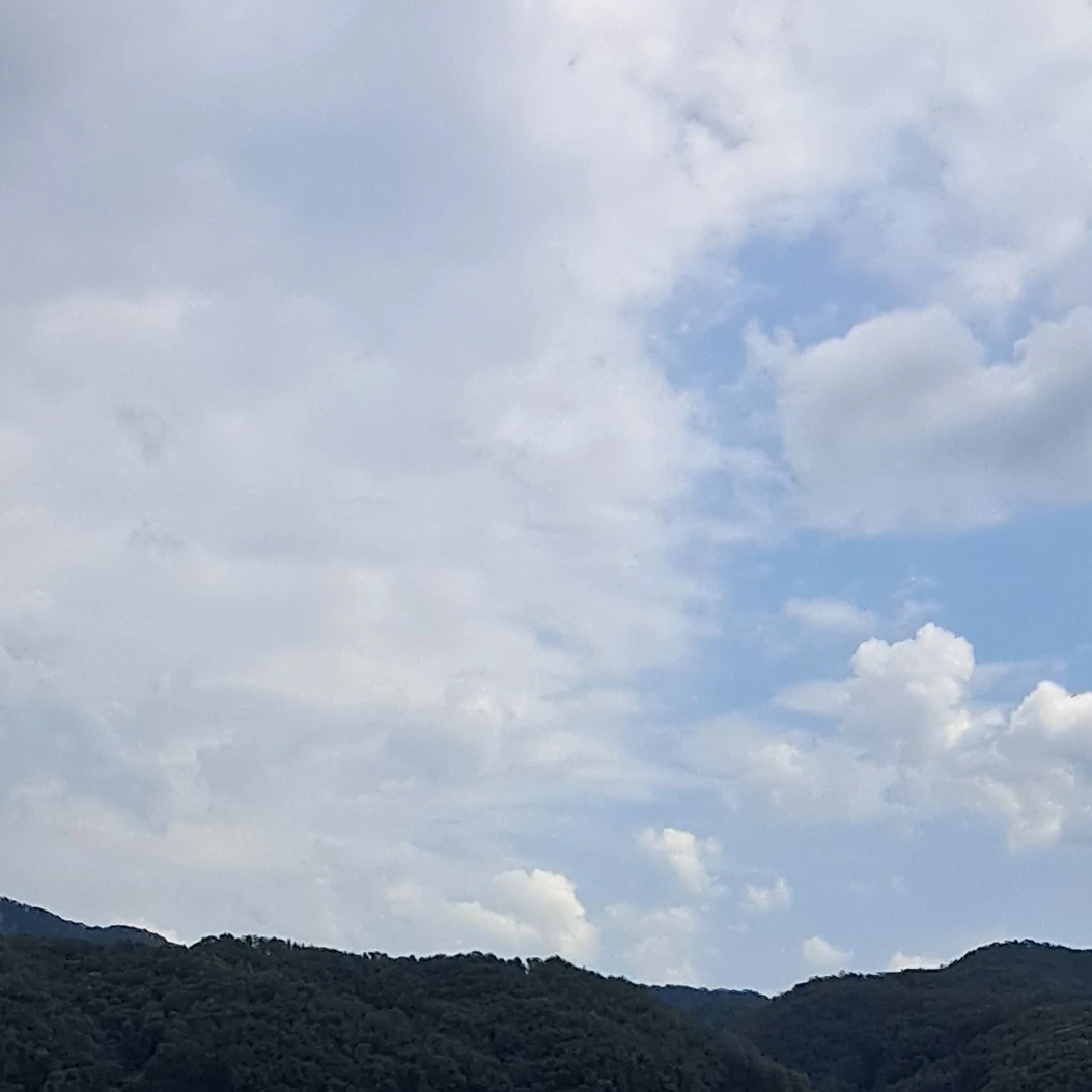 정우주