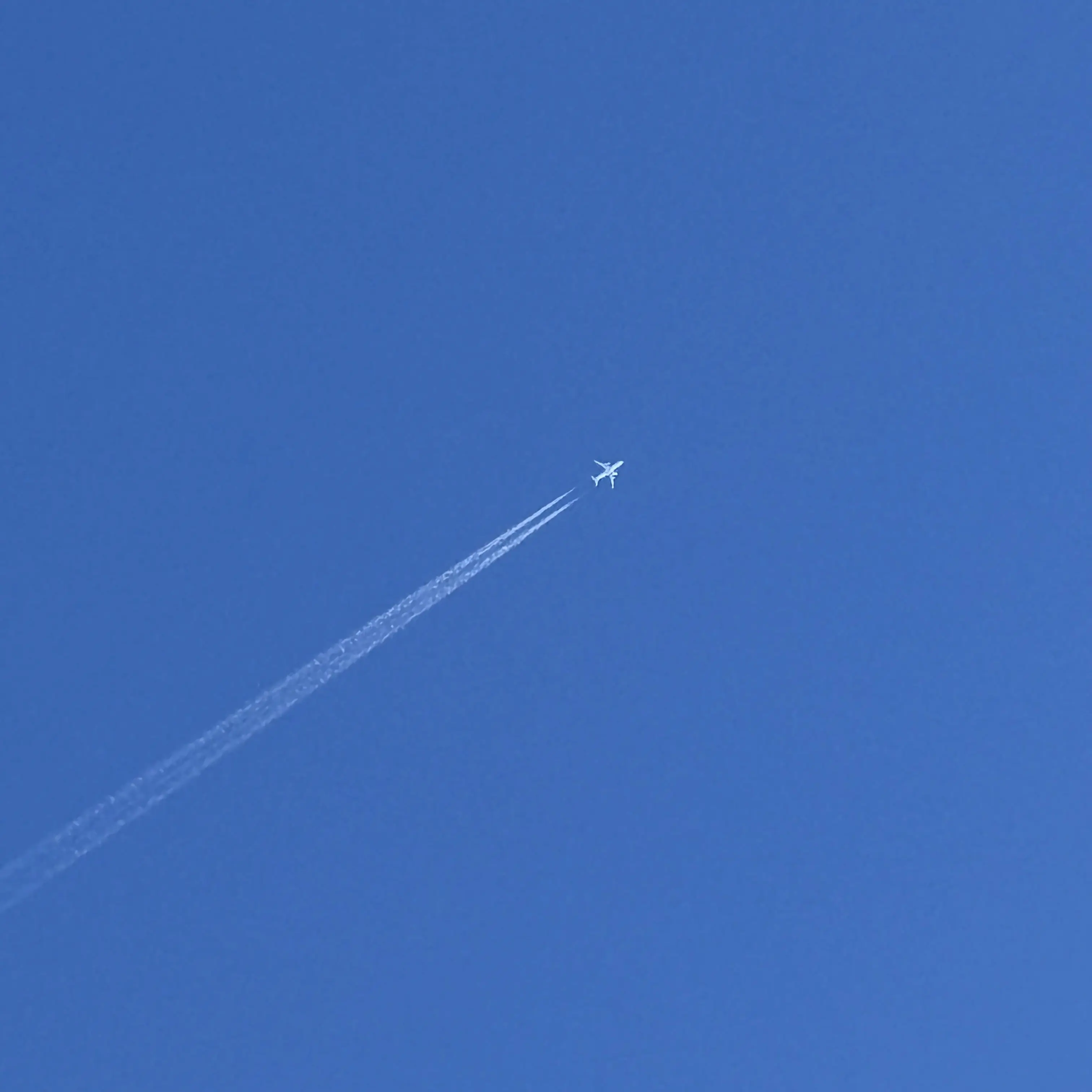 Leehxn의 금수저아가씨 재벌집도련님