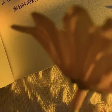 Profile image of 진토