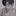서정현