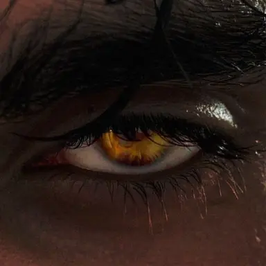 Profile image of Draven