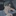 최정우