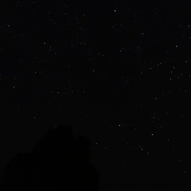 Profile image of 김다현