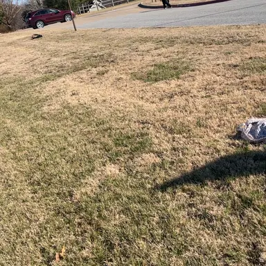 Profile image of Liz