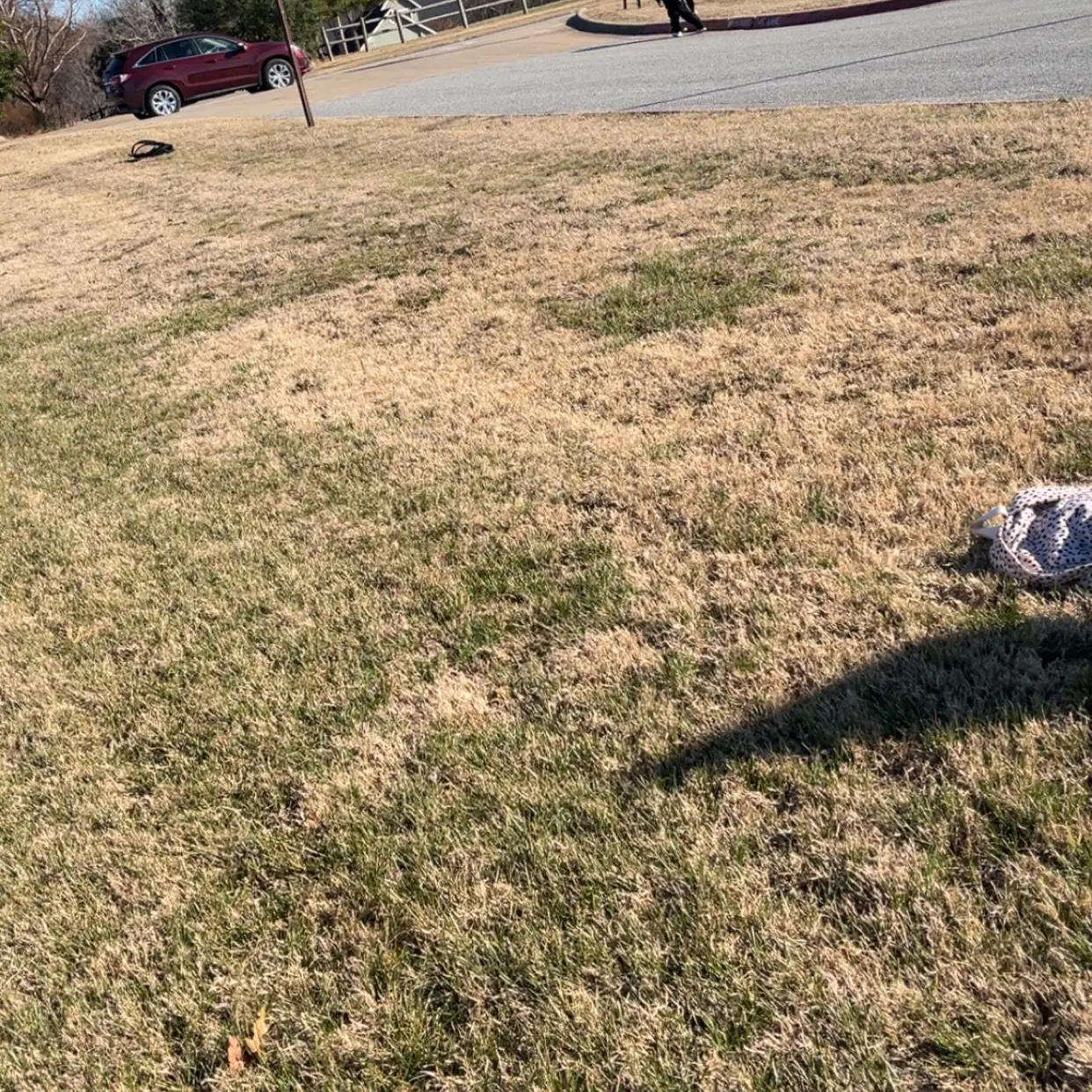 EvilLily7102의 Cracking Liz simulator