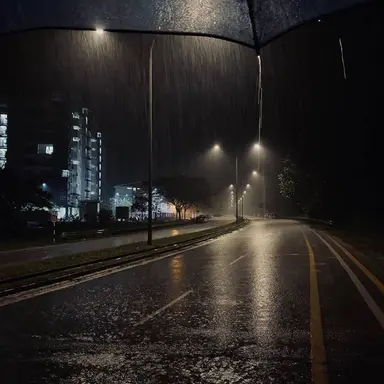 Profile image of ローレン・イロアス