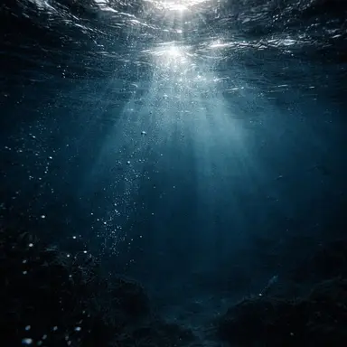 Profile image of イ・ヨンボク