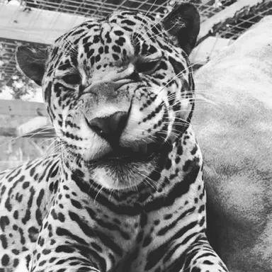 Profile image of Savannah