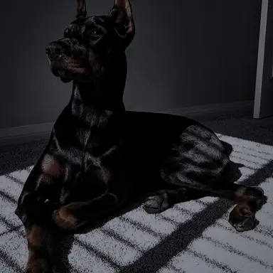 Profile image of Rex
