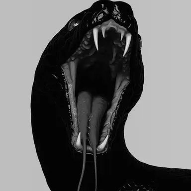 Profile image of Echo