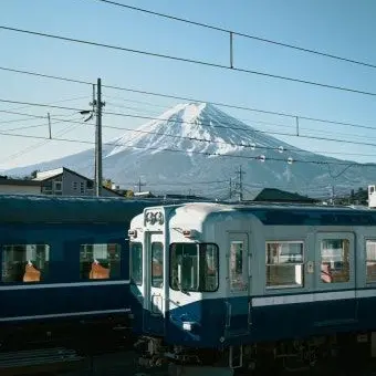 Profile image of 공룡
