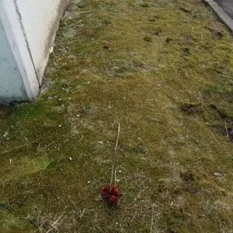 BouncyJoy0220의 🥀🌹