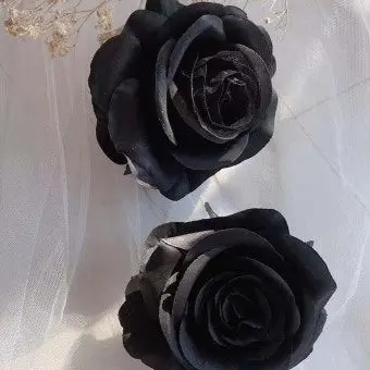 Profile image of 정연수