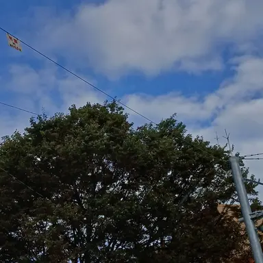 Profile image of 뜰팁