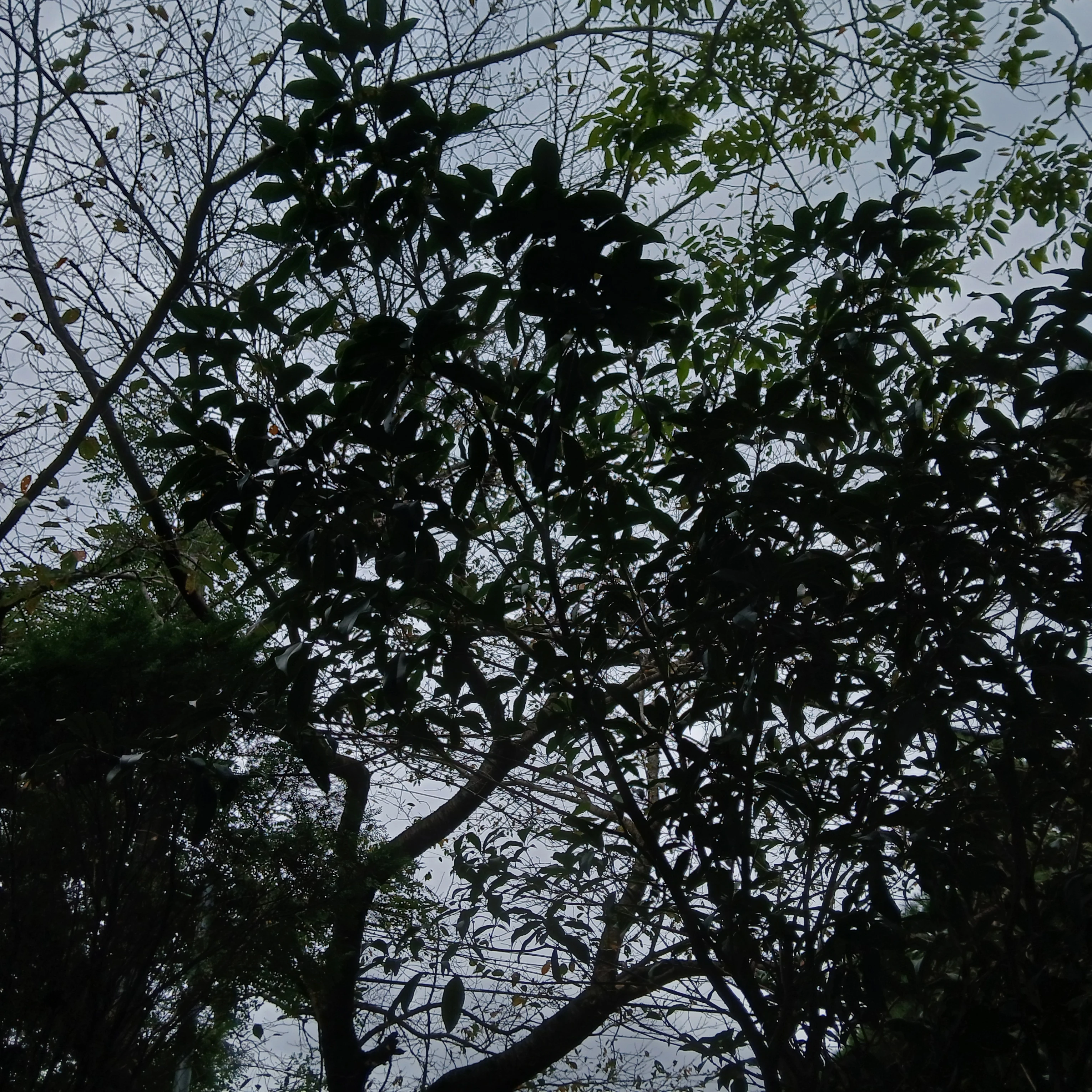 당신