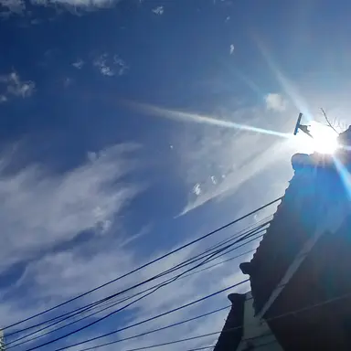 Profile image of 수현