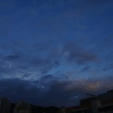 Profile image of 공룡