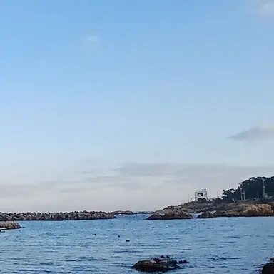 Profile image of 선생님