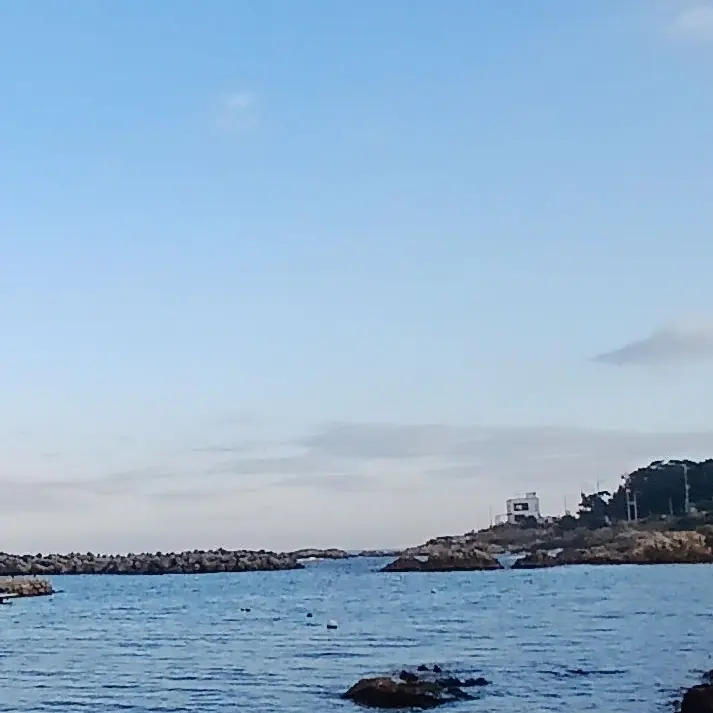 jeoeo0426의 귀멸학교에 벌이 들어왔다?!