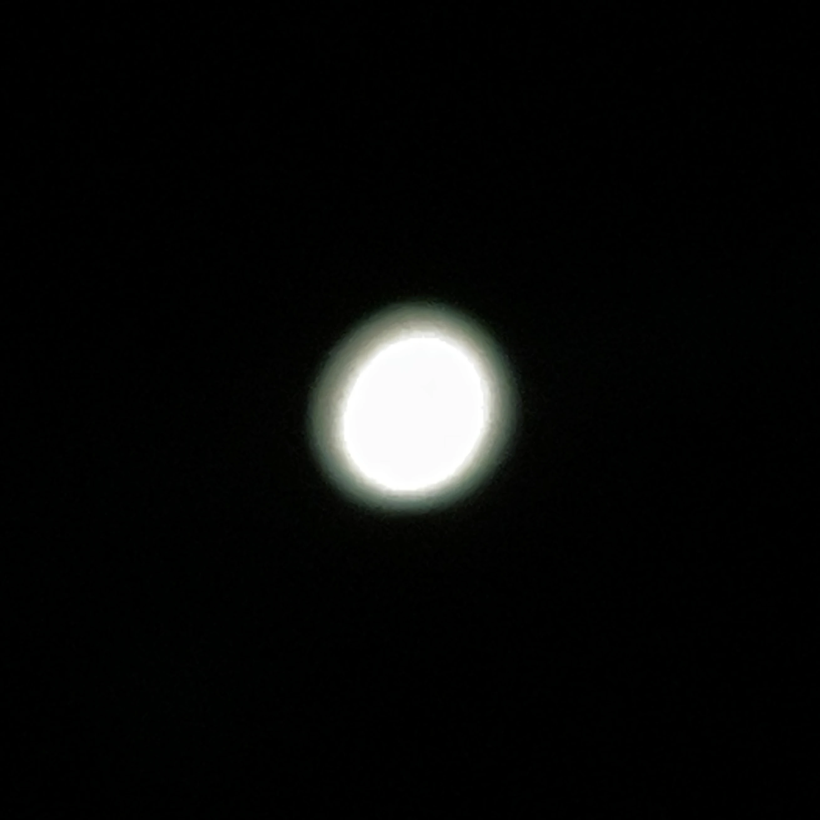 김상연