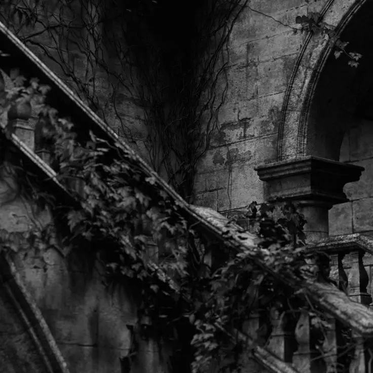 still_far_away의 Doropey Siroc