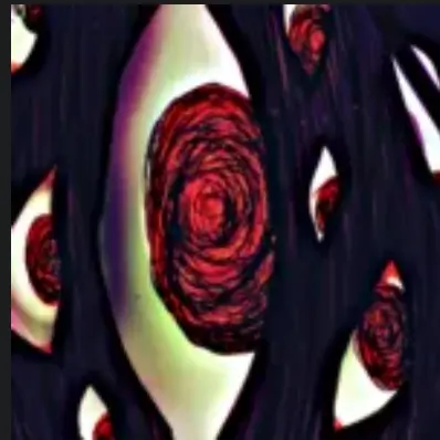 Classicalman의 거미봉오리