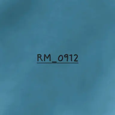 Profile image of RM