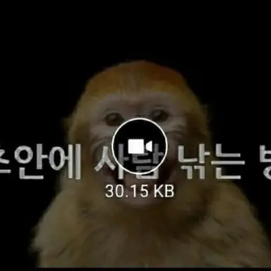 Profile image of 여우