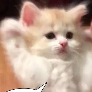 Profile image of 와글잉