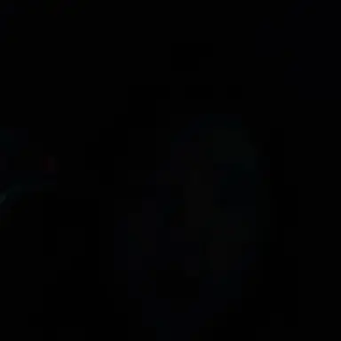 Profile image of 와쿠라바