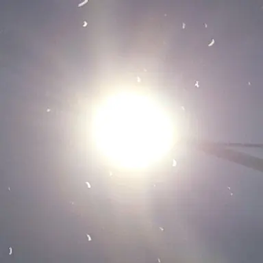 Profile image of 박늑대